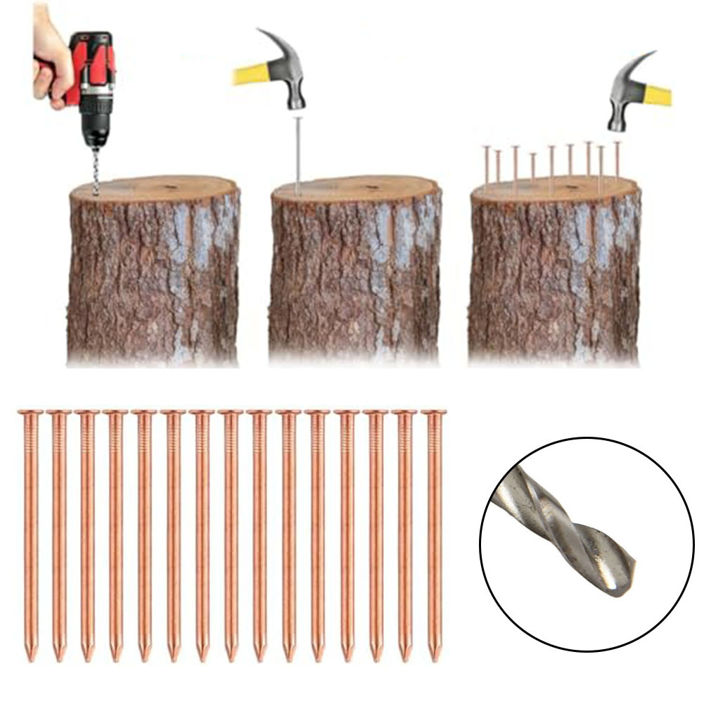 Gardening Tools Target - 2-Inch Solid Copper Nails For Tree