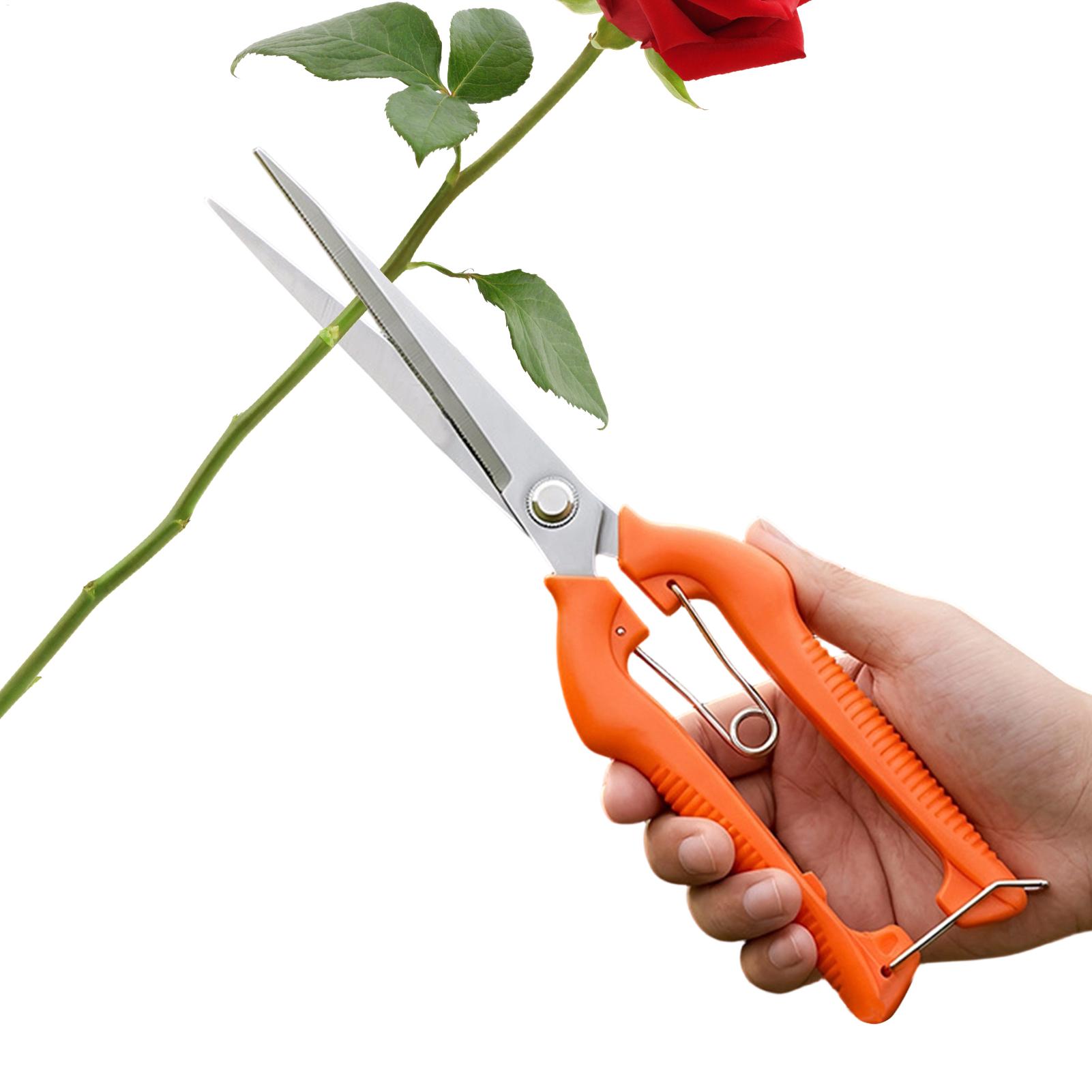 Gardening Tools For Beginners - Pruning Shears Grape Scissors Garden Tool