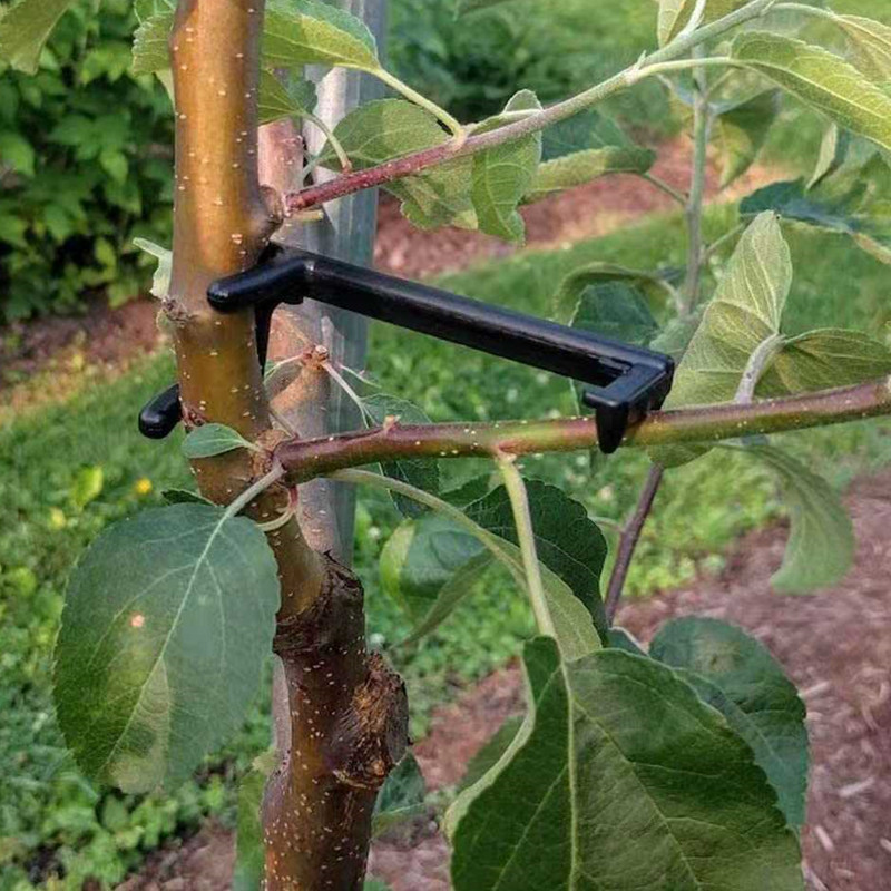 Root Watering Spike - Fruit Tree Branch Puller Plant Vines
