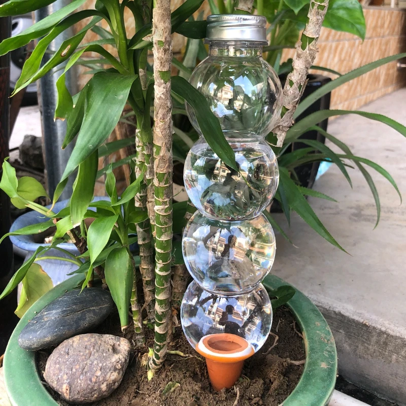 Gardening Tools For Beginners - 1/3/5Pcs Creative Automatic Water Device Plant