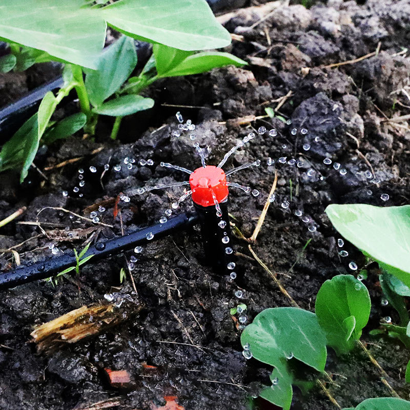 10pcs Adjustable Garden Spike  - Root Watering Spike ulasan dan harga