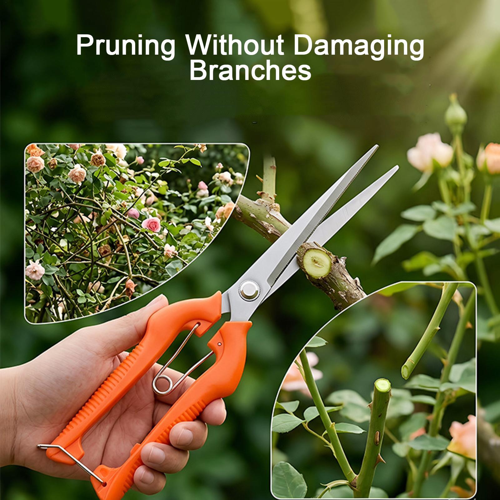 Pruning Shears Grape Scissors  - Gardening Tools For Beginners ulasan dan harga