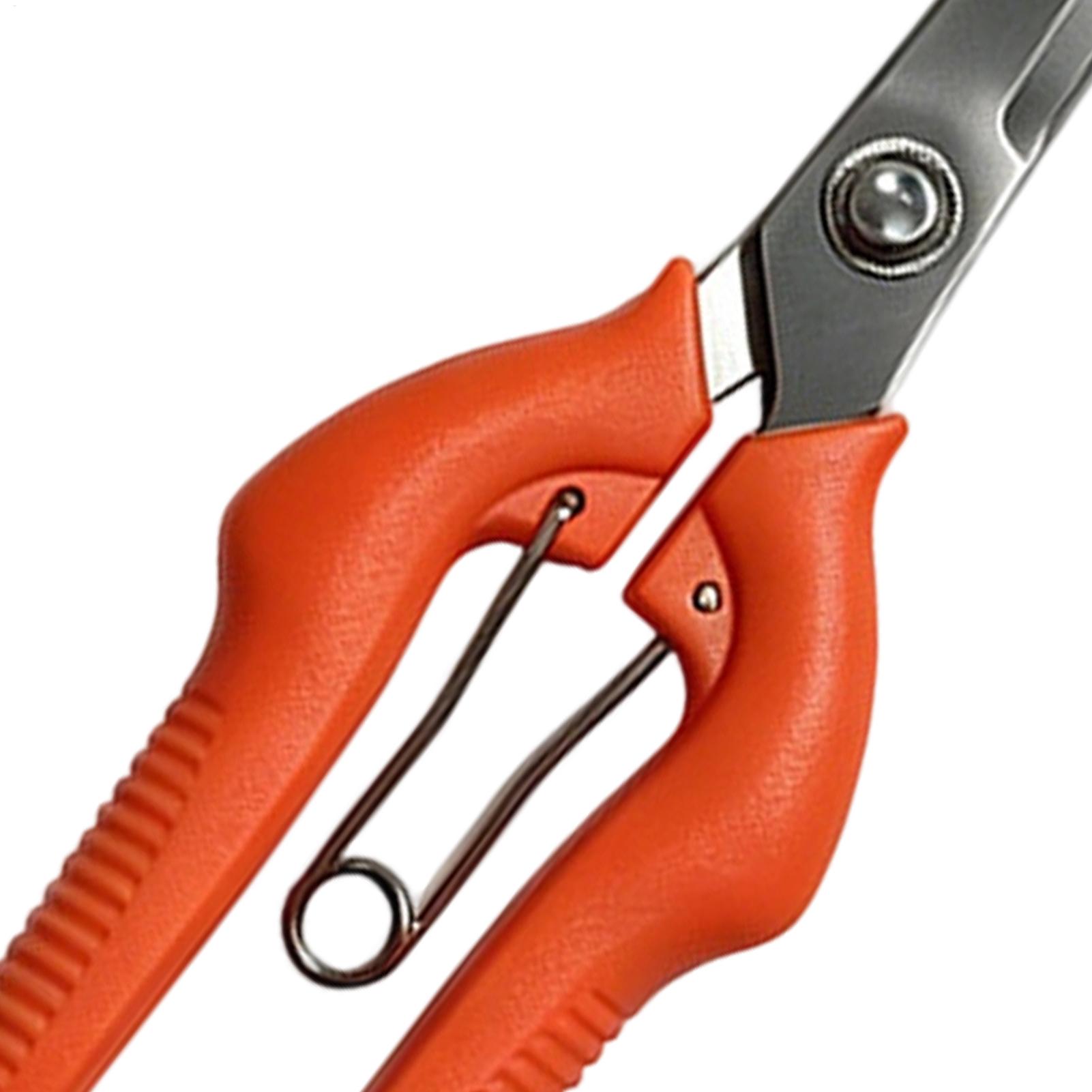 Pruning Shears Grape Scissors  - Gardening Tools For Beginners ulasan dan harga