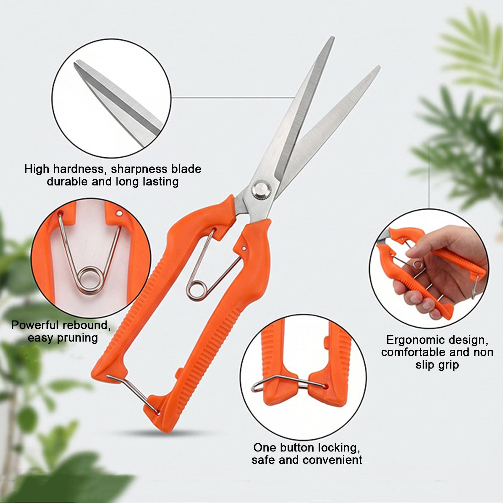 Pruning Shears Grape Scissors  - Gardening Tools For Beginners ulasan dan harga