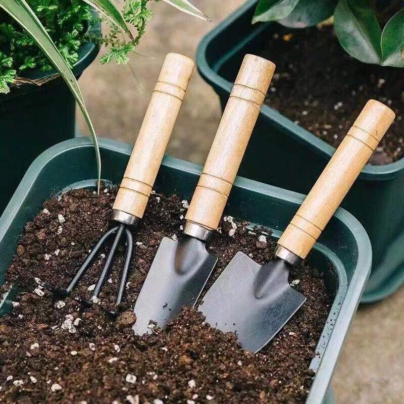 3Pcs Mini Gardening Tool Set w - Gardening Tools Wooden ulasan dan harga