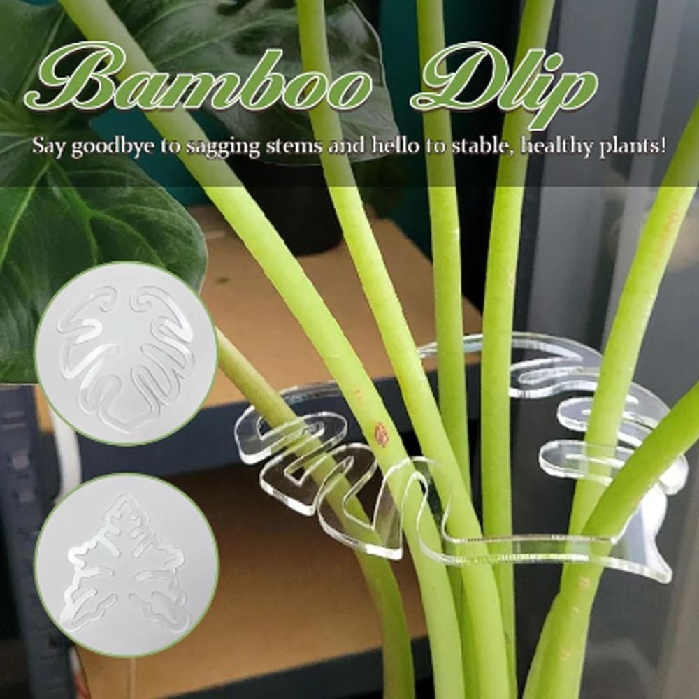 1/2PCS Reusable Turtle Shell B - Gardening Tools Wooden ulasan dan harga