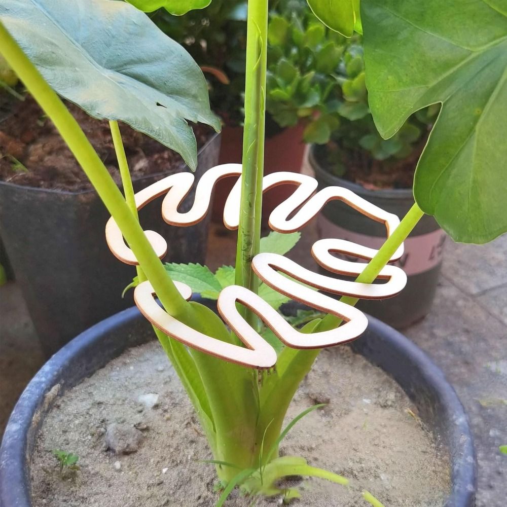 1/2PCS Reusable Turtle Shell B - Gardening Tools Wooden ulasan dan harga