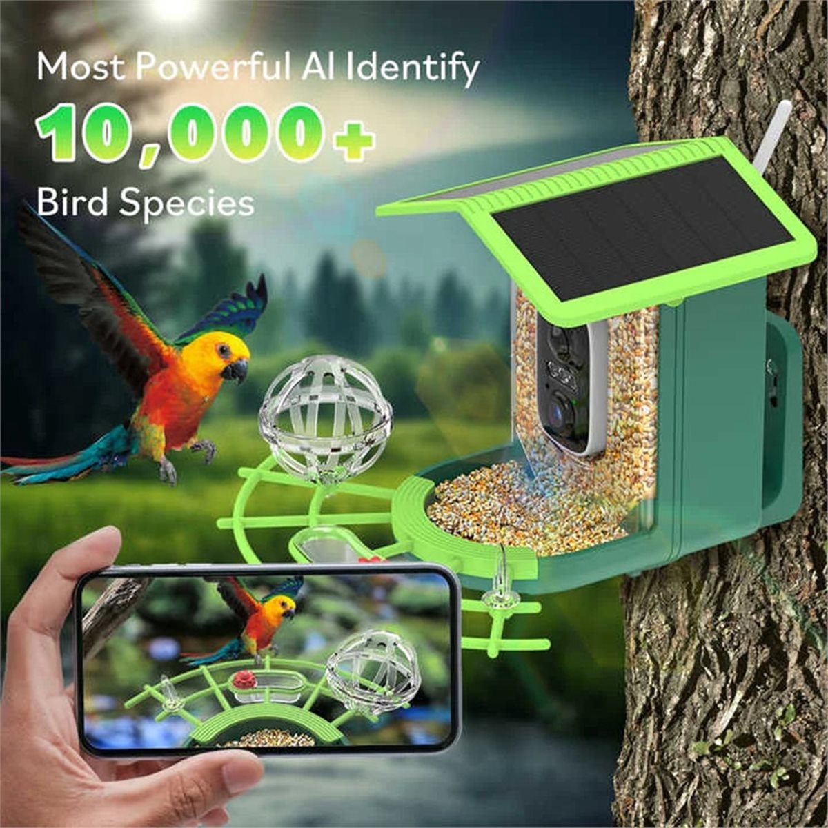 ABPP Smart Bird Feeder Camera  - Gardening Tools Video ulasan dan harga