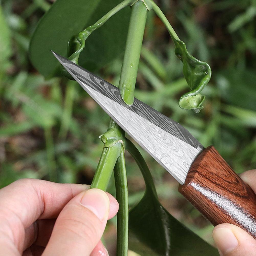 Sharp Grafting Knife with Wood - Gardening Tools For Beginners ulasan dan harga