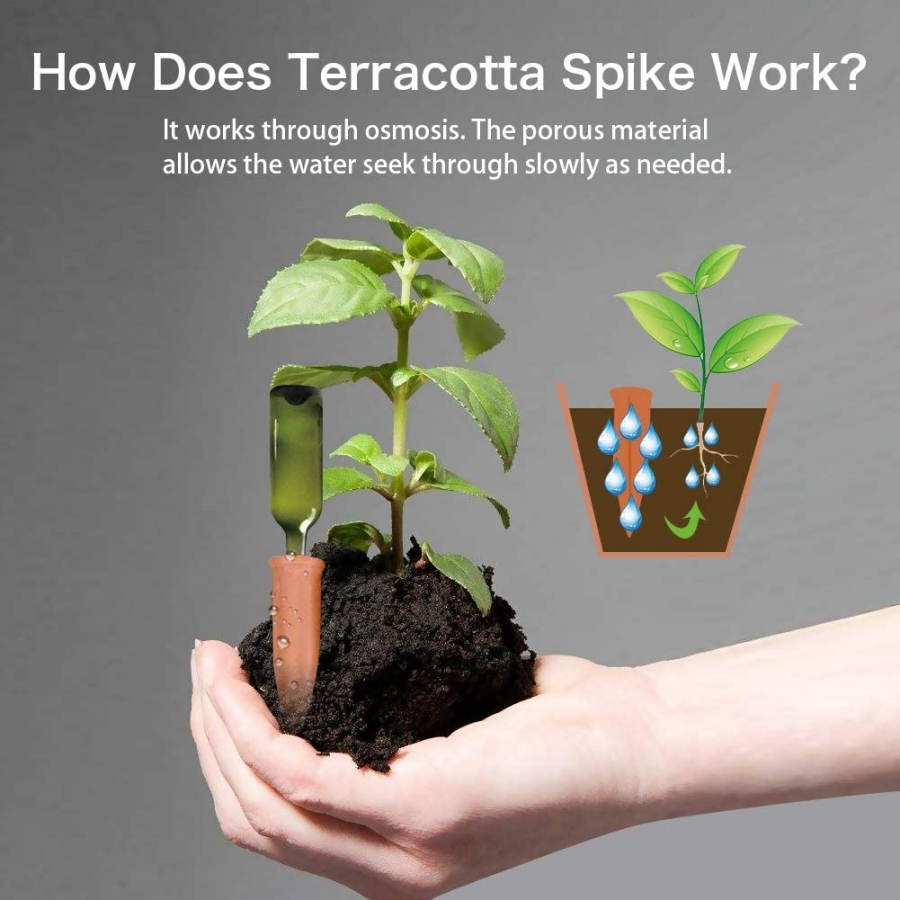 8 PCS Self Watering Terracotta - Root Watering Spike ulasan dan harga