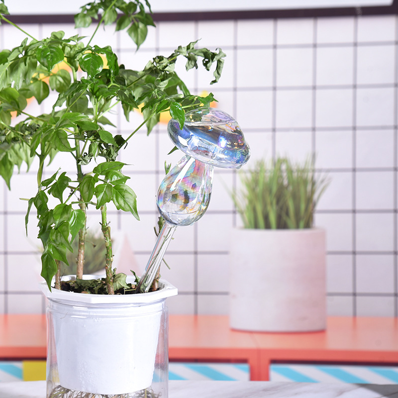 1/2PCS Glass Straw Automatic P - Gardening Tools For Beginners ulasan dan harga